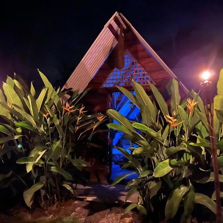 Bewak Cr Hotel Тортугеро Екстериор снимка